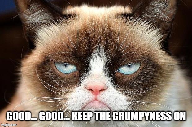 Grumpy Cat Not Amused Meme | GOOD... GOOD... KEEP THE GRUMPYNESS ON | image tagged in memes,grumpy cat not amused,grumpy cat | made w/ Imgflip meme maker