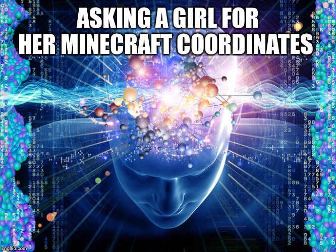universal brain | ASKING A GIRL FOR HER MINECRAFT COORDINATES | image tagged in universal brain | made w/ Imgflip meme maker