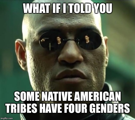 Morpheus  | WHAT IF I TOLD YOU SOME NATIVE AMERICAN TRIBES HAVE FOUR GENDERS | image tagged in morpheus | made w/ Imgflip meme maker