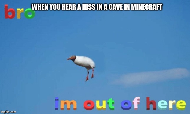 bro im out of here | WHEN YOU HEAR A HISS IN A CAVE IN MINECRAFT | image tagged in bro im out of here | made w/ Imgflip meme maker