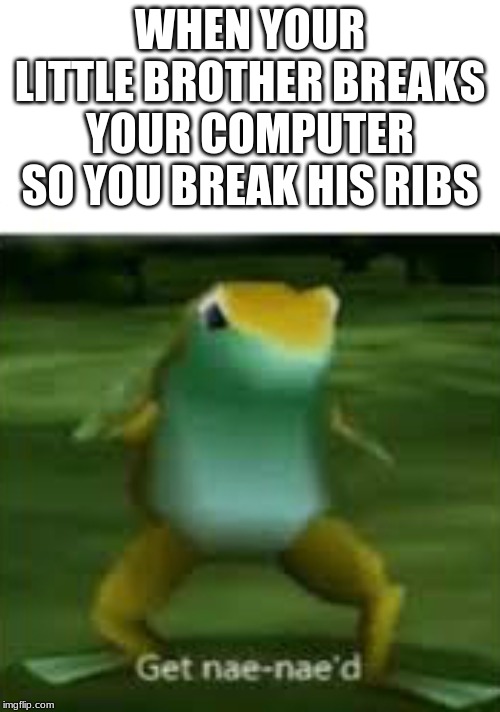 Get nae nae'd | WHEN YOUR LITTLE BROTHER BREAKS YOUR COMPUTER SO YOU BREAK HIS RIBS | image tagged in get nae nae'd | made w/ Imgflip meme maker