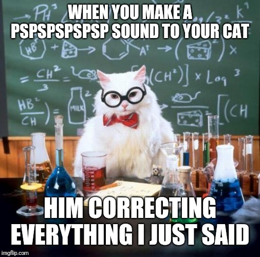 Chemistry Cat Meme | WHEN YOU MAKE A PSPSPSPSPSP SOUND TO YOUR CAT; HIM CORRECTING EVERYTHING I JUST SAID | image tagged in memes,chemistry cat | made w/ Imgflip meme maker