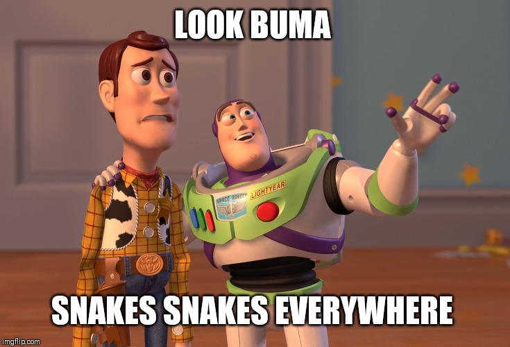 X, X Everywhere Meme | LOOK BUMA; SNAKES SNAKES EVERYWHERE | image tagged in memes,x x everywhere | made w/ Imgflip meme maker
