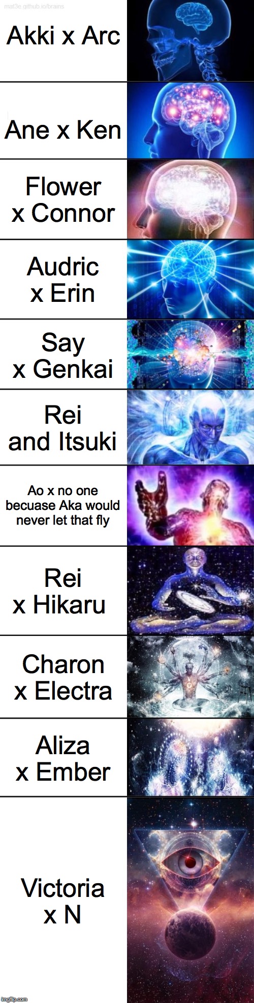 A ship tier list....these are my personal rankings. | Akki x Arc; Ane x Ken; Flower x Connor; Audric x Erin; Say x Genkai; Rei and Itsuki; Ao x no one becuase Aka would never let that fly; Rei x Hikaru; Charon x Electra; Aliza x Ember; Victoria x N | image tagged in expanding brain full version,i was running out of ideas near the middle,if i didnt include a ship your oc had with mine im sorry | made w/ Imgflip meme maker