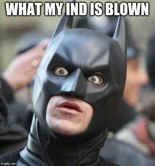 WHAT MY IND IS BLOWN | image tagged in shocked batman | made w/ Imgflip meme maker