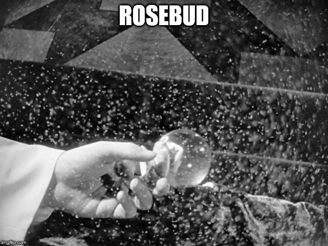 Citizen Kane Rosebud | ROSEBUD | image tagged in citizen kane rosebud | made w/ Imgflip meme maker