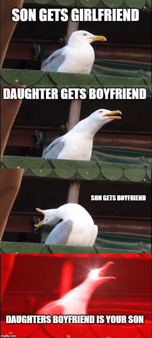 Inhaling Seagull | SON GETS GIRLFRIEND; DAUGHTER GETS BOYFRIEND; SON GETS BOYFRIEND; DAUGHTERS BOYFRIEND IS YOUR SON | image tagged in memes,inhaling seagull | made w/ Imgflip meme maker