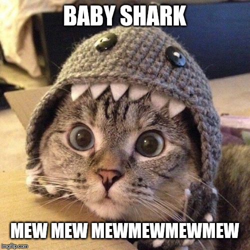 Baby shark |  BABY SHARK; MEW MEW MEWMEWMEWMEW | image tagged in mew,cats,shark,baby shark | made w/ Imgflip meme maker
