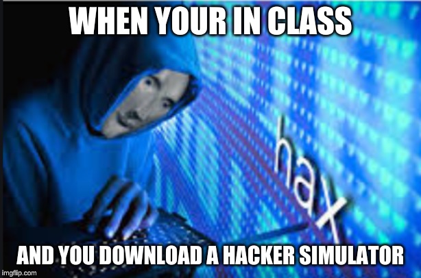 Hax |  WHEN YOUR IN CLASS; AND YOU DOWNLOAD A HACKER SIMULATOR | image tagged in hax | made w/ Imgflip meme maker
