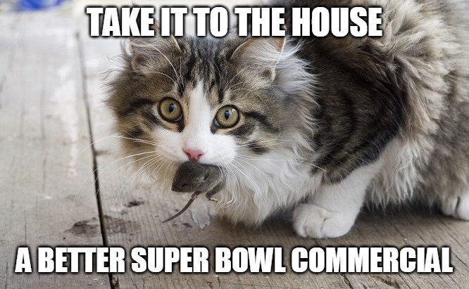 Cat With Mouse | TAKE IT TO THE HOUSE; A BETTER SUPER BOWL COMMERCIAL | image tagged in cat with mouse | made w/ Imgflip meme maker