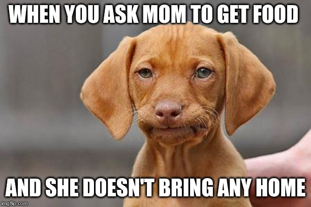 Dissapointed puppy | WHEN YOU ASK MOM TO GET FOOD; AND SHE DOESN'T BRING ANY HOME | image tagged in dissapointed puppy | made w/ Imgflip meme maker