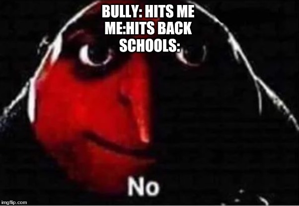 Gru No | BULLY: HITS ME 
ME:HITS BACK 
SCHOOLS: | image tagged in gru no | made w/ Imgflip meme maker