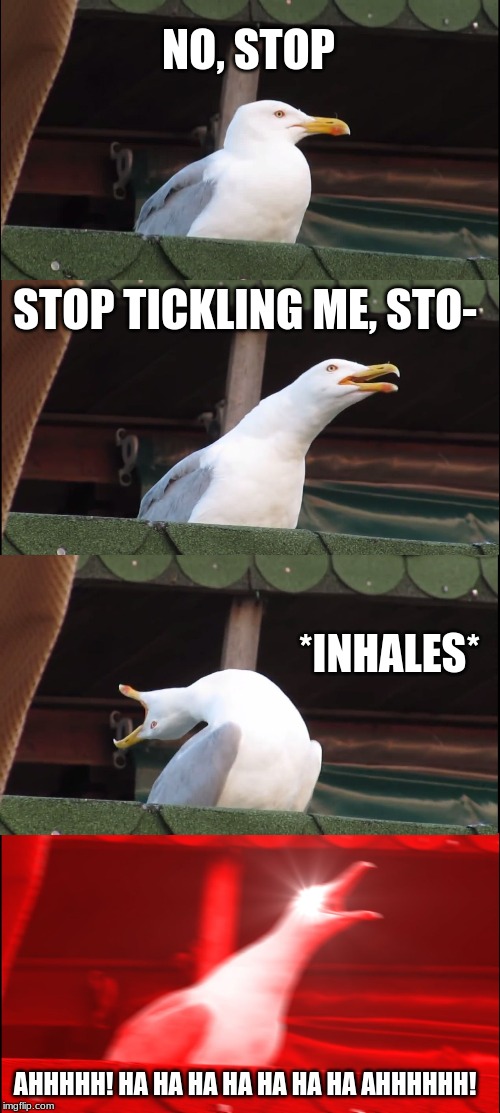 Inhaling Seagull | NO, STOP; STOP TICKLING ME, STO-; *INHALES*; AHHHHH! HA HA HA HA HA HA HA AHHHHHH! | image tagged in memes,inhaling seagull | made w/ Imgflip meme maker
