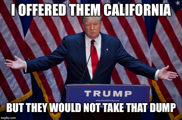 Donald Trump | I OFFERED THEM CALIFORNIA BUT THEY WOULD NOT TAKE THAT DUMP | image tagged in donald trump | made w/ Imgflip meme maker