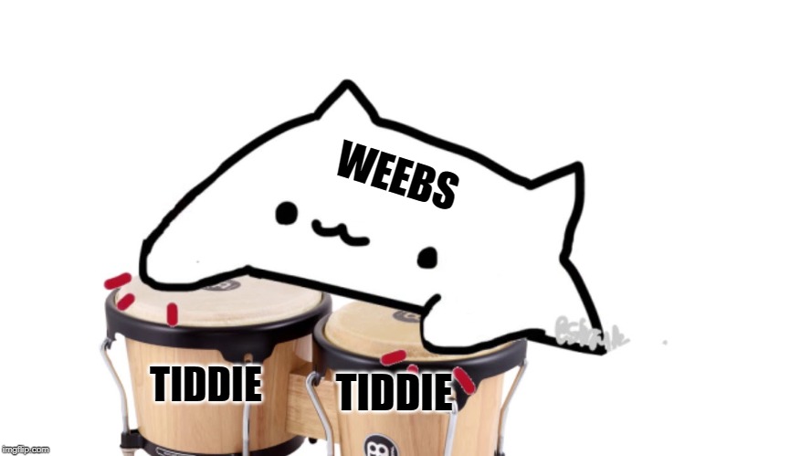 Bongo Cat | WEEBS; TIDDIE; TIDDIE | image tagged in bongo cat | made w/ Imgflip meme maker