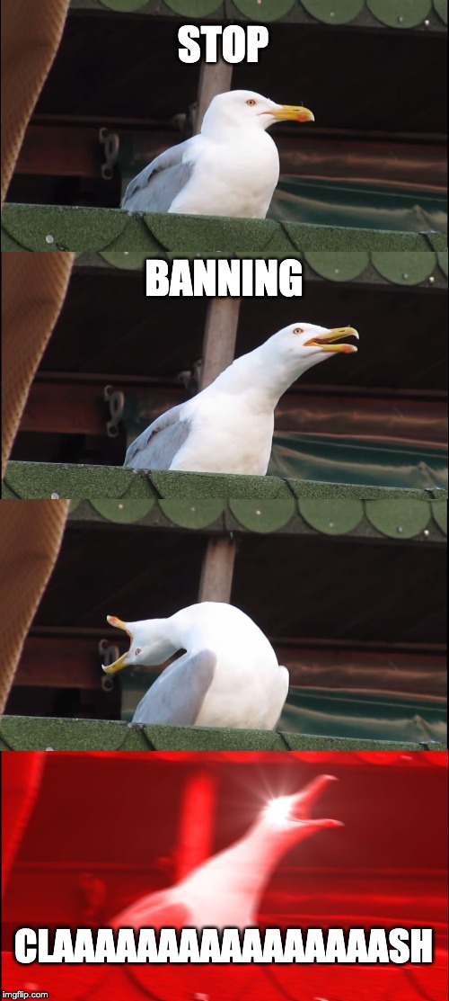 Inhaling Seagull | STOP; BANNING; CLAAAAAAAAAAAAAAAASH | image tagged in memes,inhaling seagull | made w/ Imgflip meme maker