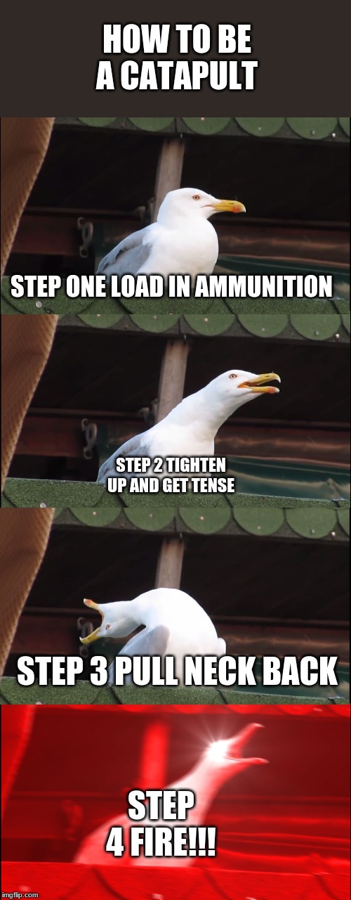 Inhaling Seagull Meme | HOW TO BE A CATAPULT; STEP ONE LOAD IN AMMUNITION; STEP 2 TIGHTEN UP AND GET TENSE; STEP 3 PULL NECK BACK; STEP 4 FIRE!!! | image tagged in memes,inhaling seagull | made w/ Imgflip meme maker