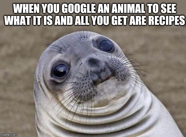 Awkward Moment Sealion Meme | WHEN YOU GOOGLE AN ANIMAL TO SEE WHAT IT IS AND ALL YOU GET ARE RECIPES | image tagged in memes,awkward moment sealion | made w/ Imgflip meme maker