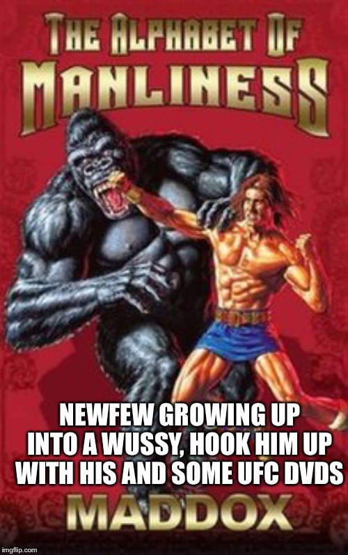 Toughen him up or turn him into an asshole, close enough | NEWFEW GROWING UP INTO A WUSSY, HOOK HIM UP WITH HIS AND SOME UFC DVDS | made w/ Imgflip meme maker