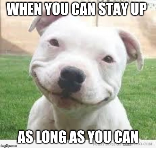 Happy Friday Puppy | WHEN YOU CAN STAY UP; AS LONG AS YOU CAN | image tagged in happy friday puppy | made w/ Imgflip meme maker