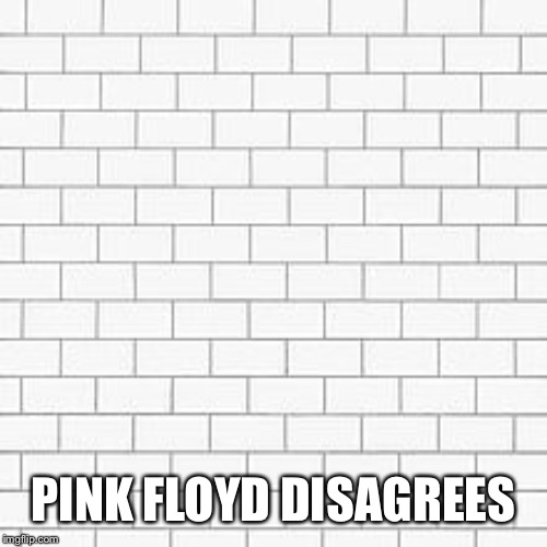 pink floyd | PINK FLOYD DISAGREES | image tagged in pink floyd | made w/ Imgflip meme maker