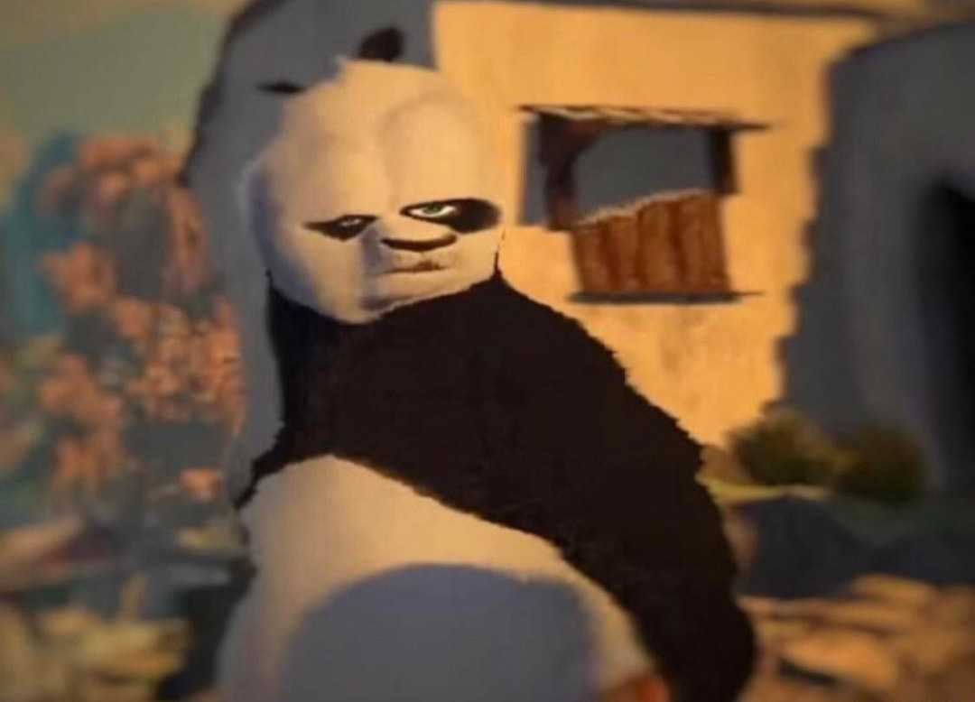 Kung Fu Panda wheelchair Blank Meme Template