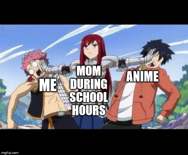 Fairy Tail - Erza | MOM DURING SCHOOL HOURS; ANIME; ME | image tagged in fairy tail - erza | made w/ Imgflip meme maker