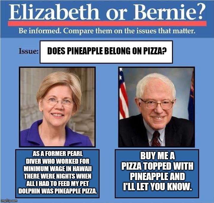 Warren vs Sanders on the issues | DOES PINEAPPLE BELONG ON PIZZA? AS A FORMER PEARL DIVER WHO WORKED FOR MINIMUM WAGE IN HAWAII THERE WERE NIGHTS WHEN ALL I HAD TO FEED MY PET DOLPHIN WAS PINEAPPLE PIZZA. BUY ME A PIZZA TOPPED WITH PINEAPPLE AND I'LL LET YOU KNOW. | image tagged in compare warren vs bernie,democrats,important issues,political humor,pineapple pizza | made w/ Imgflip meme maker