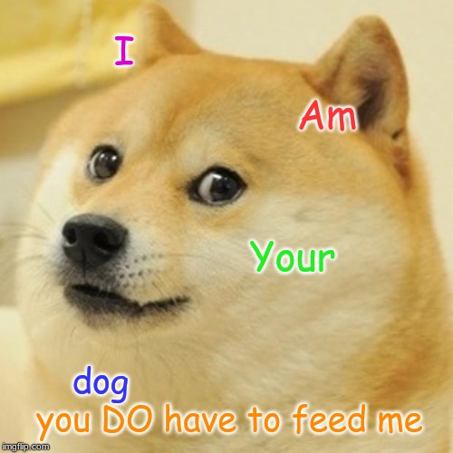 Doge | I; Am; Your; dog; you DO have to feed me | image tagged in memes,doge | made w/ Imgflip meme maker