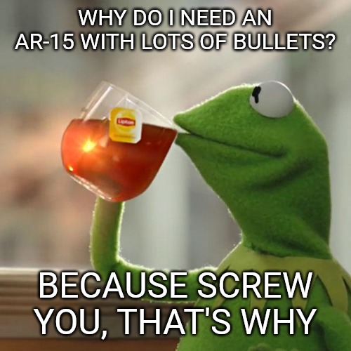 It's none of your damn business. | WHY DO I NEED AN AR-15 WITH LOTS OF BULLETS? BECAUSE SCREW YOU, THAT'S WHY | image tagged in memes,but thats none of my business,kermit the frog | made w/ Imgflip meme maker