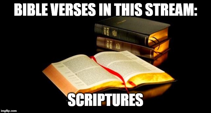 BIBLE VERSES IN THIS STREAM:; SCRIPTURES | made w/ Imgflip meme maker