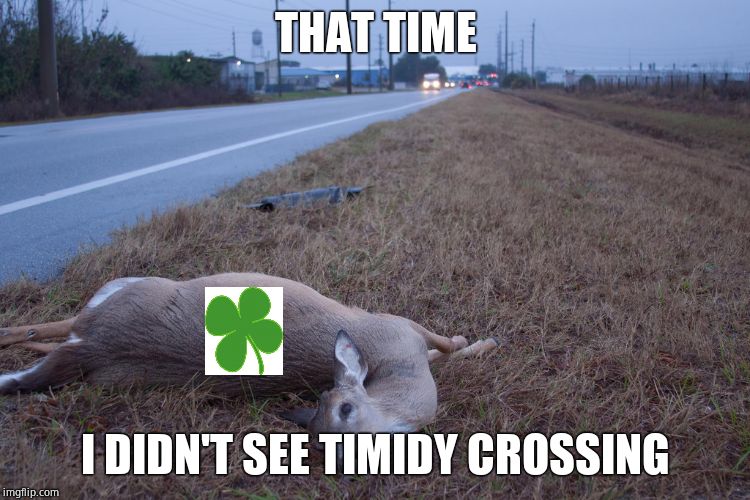 Dead Deer | THAT TIME I DIDN'T SEE TIMIDY CROSSING | image tagged in dead deer | made w/ Imgflip meme maker