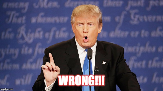 Donald Trump Wrong | WRONG!!! | image tagged in donald trump wrong | made w/ Imgflip meme maker