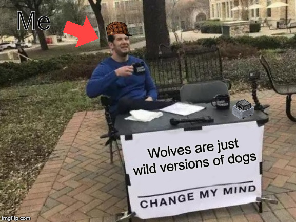 Change My Mind | Me; Wolves are just wild versions of dogs | image tagged in memes,change my mind | made w/ Imgflip meme maker