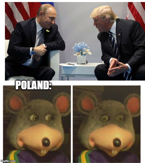 Blank White Template | POLAND: | image tagged in blank white template | made w/ Imgflip meme maker