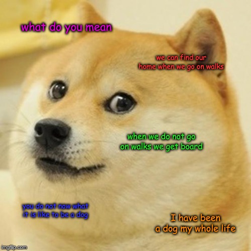 Doge Meme | what do you mean we can find our home when we go on walks when we do not go on walks we get board you do not now what it is like to be a dog | image tagged in memes,doge | made w/ Imgflip meme maker