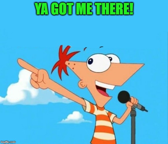 Phineas and ferb | YA GOT ME THERE! | image tagged in phineas and ferb | made w/ Imgflip meme maker