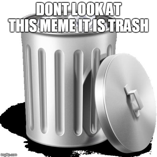 Trash can full | DONT LOOK AT THIS MEME IT IS TRASH | image tagged in trash can full | made w/ Imgflip meme maker