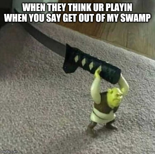 Gghjhgfdf | WHEN THEY THINK UR PLAYIN WHEN YOU SAY GET OUT OF MY SWAMP | image tagged in gghjhgfdf | made w/ Imgflip meme maker