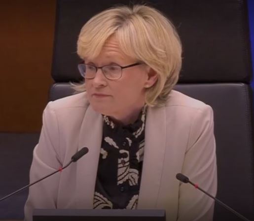 Mad woman in EU parliament Blank Meme Template