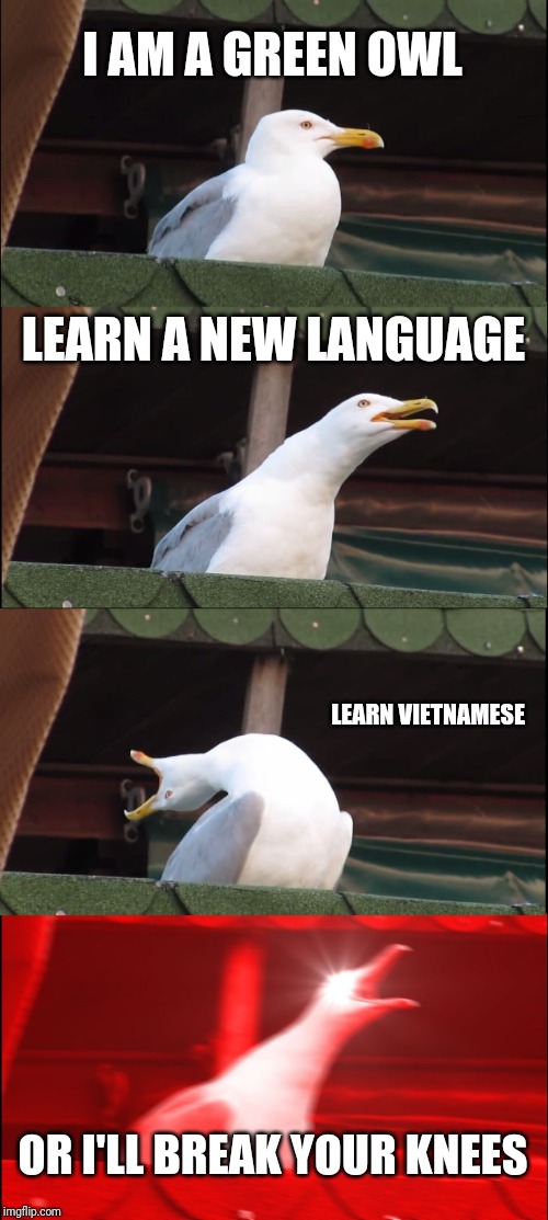 Inhaling Seagull Meme | I AM A GREEN OWL; LEARN A NEW LANGUAGE; LEARN VIETNAMESE; OR I'LL BREAK YOUR KNEES | image tagged in memes,inhaling seagull | made w/ Imgflip meme maker