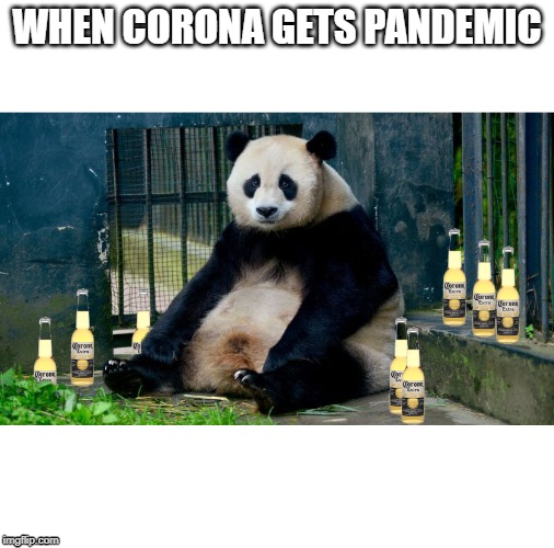 Pandemic Corona | WHEN CORONA GETS PANDEMIC | image tagged in pandemic corona | made w/ Imgflip meme maker