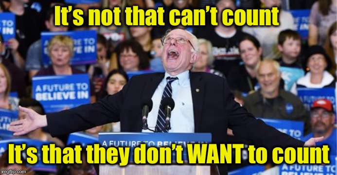 Bernie to the max | It’s not that can’t count It’s that they don’t WANT to count | image tagged in bernie to the max | made w/ Imgflip meme maker