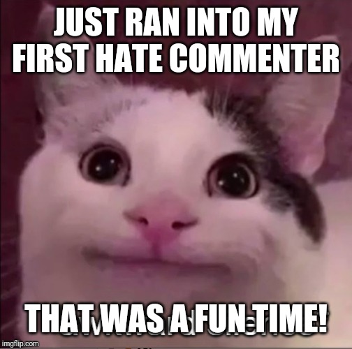 Awkward silence cat | JUST RAN INTO MY FIRST HATE COMMENTER; THAT WAS A FUN TIME! | image tagged in awkward silence cat | made w/ Imgflip meme maker