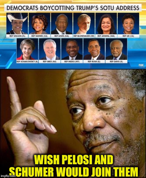 It would be great not to see that botoxed old bat as well | WISH PELOSI AND SCHUMER WOULD JOIN THEM | image tagged in this morgan freeman,democrat,democratic party,liberal logic,liberal hypocrisy | made w/ Imgflip meme maker