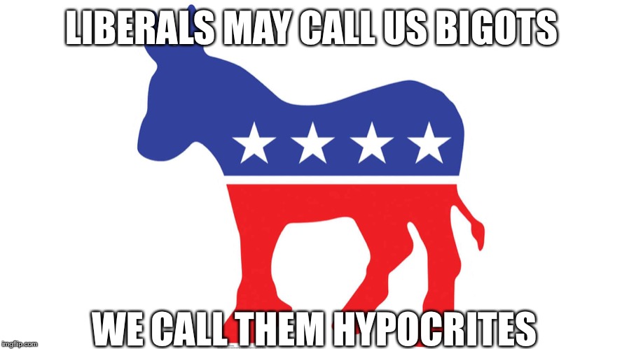 Liberal Hypocrites | LIBERALS MAY CALL US BIGOTS; WE CALL THEM HYPOCRITES | image tagged in liberals,hypocrisy,hypocrites | made w/ Imgflip meme maker
