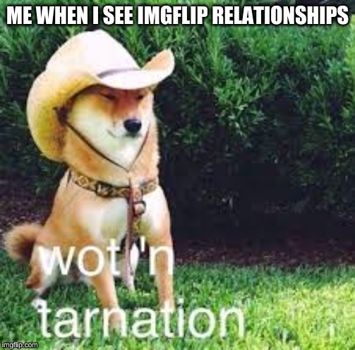 Well only Mono loves me that I know of so I am just like this | ME WHEN I SEE IMGFLIP RELATIONSHIPS | image tagged in why u read this,thamks for reading,lol,lel,wot'n tarnation | made w/ Imgflip meme maker