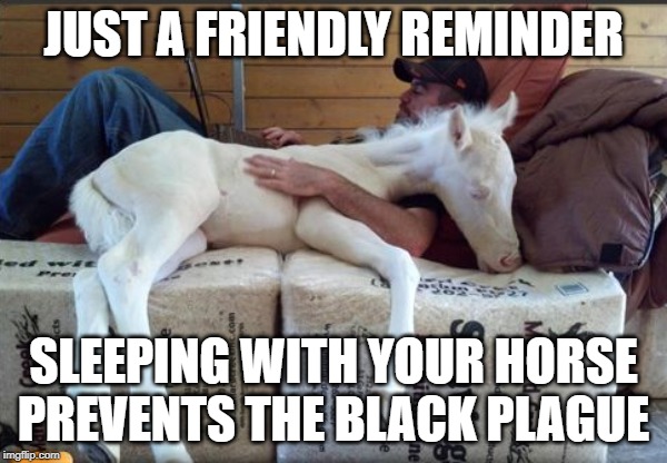 Prevent Plague | JUST A FRIENDLY REMINDER; SLEEPING WITH YOUR HORSE PREVENTS THE BLACK PLAGUE | image tagged in plague,horse,coronavirus,corona | made w/ Imgflip meme maker