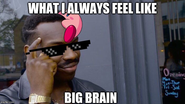 Roll Safe Think About It | WHAT I ALWAYS FEEL LIKE; BIG BRAIN | image tagged in memes,roll safe think about it | made w/ Imgflip meme maker