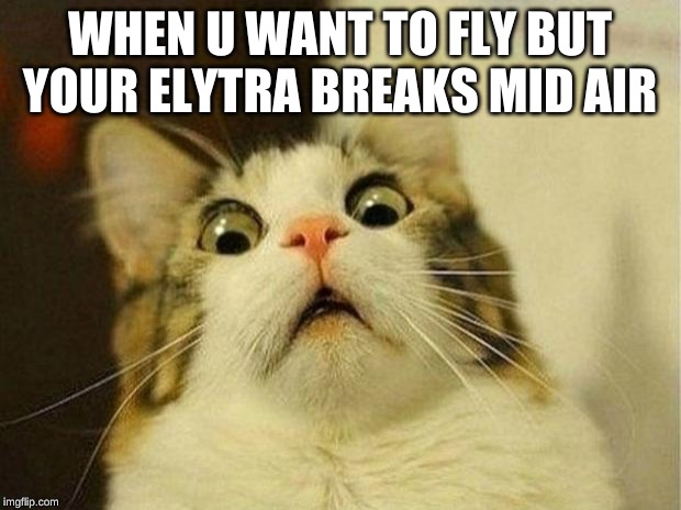 Scared Cat Meme | WHEN U WANT TO FLY BUT YOUR ELYTRA BREAKS MID AIR | image tagged in memes,scared cat | made w/ Imgflip meme maker
